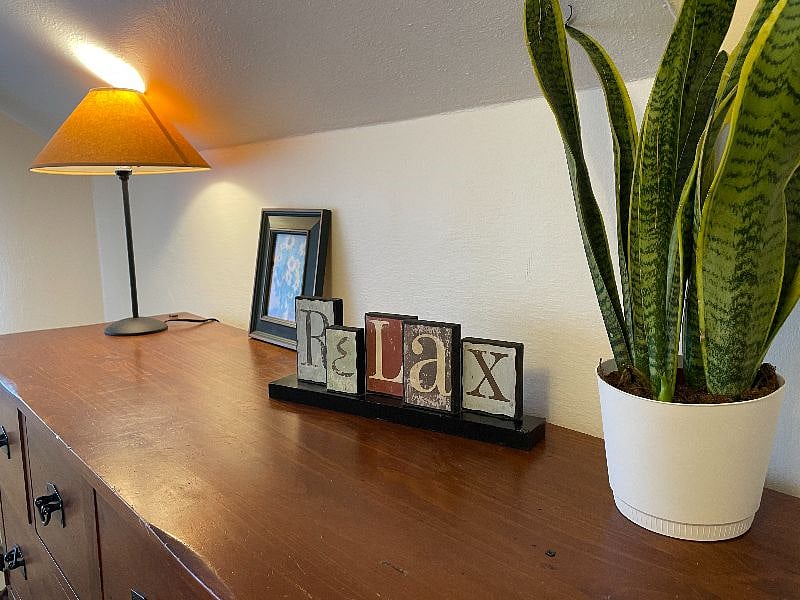 Furnished Finder property 330934_1 photo 5