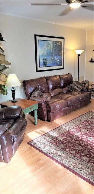 Furnished Finder property 330941_1 photo 17