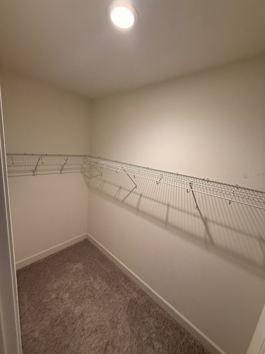 Furnished Finder property 335086_1 photo 19