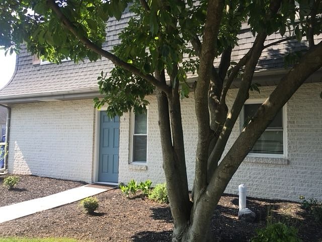 Furnished Finder property 335110_1 photo 12