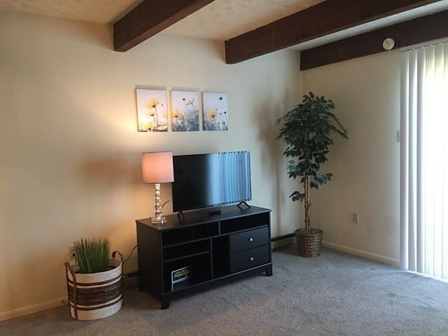 Furnished Finder property 335110_1 photo 6