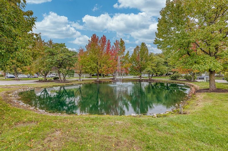 Furnished Finder property 335131_1 photo 17