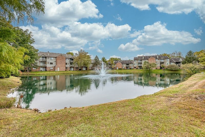 Furnished Finder property 335131_1 photo 18
