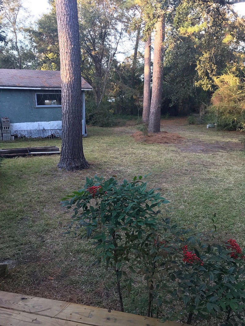 Furnished Finder property 335366_1 photo 24