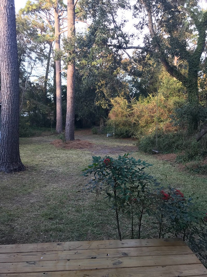 Furnished Finder property 335366_1 photo 25