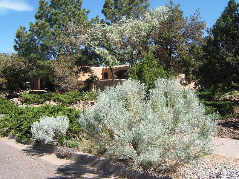 Furnished Finder property 335479_1 photo 32