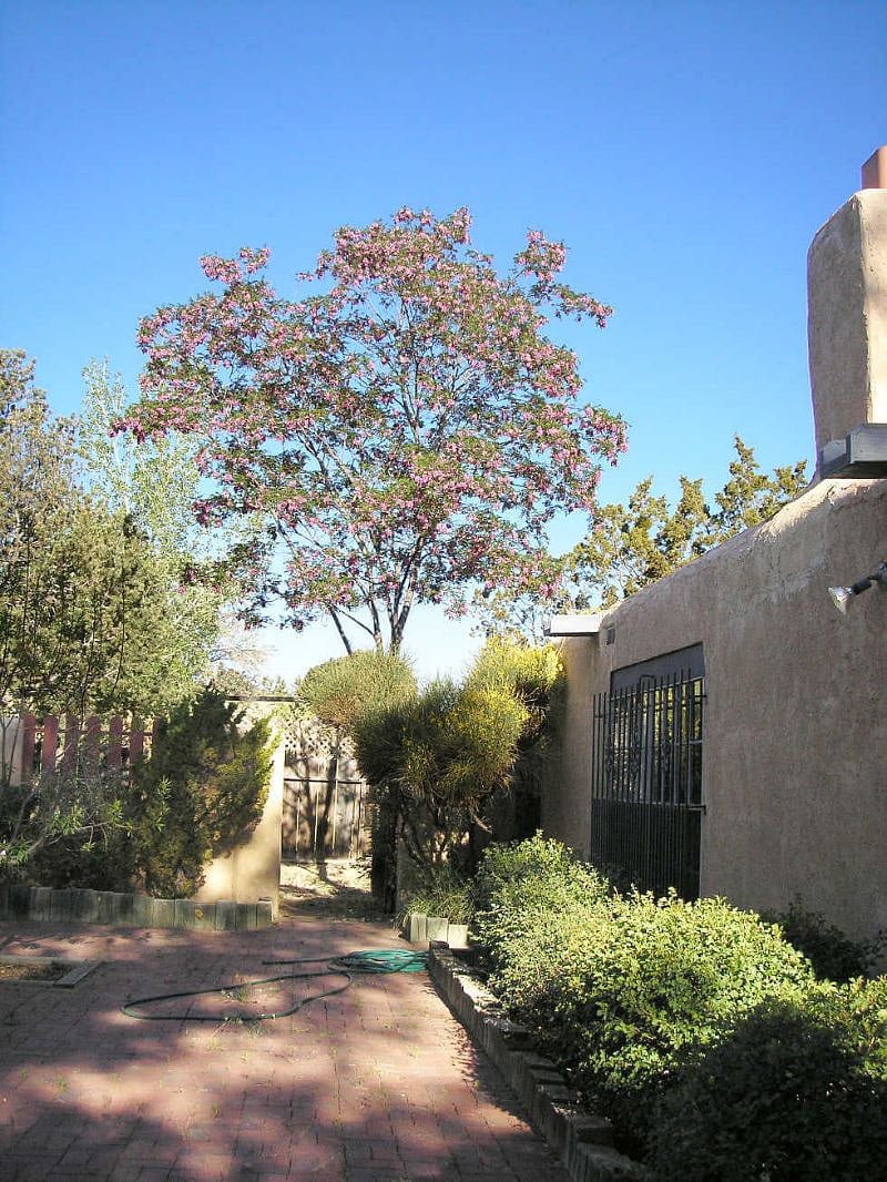Furnished Finder property 335479_1 photo 27