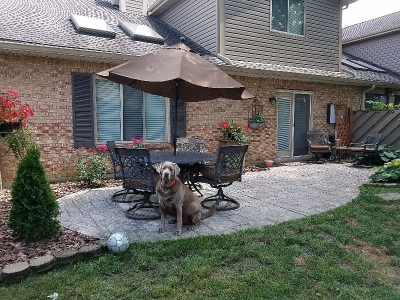 Furnished Finder property 335539_1 photo 5