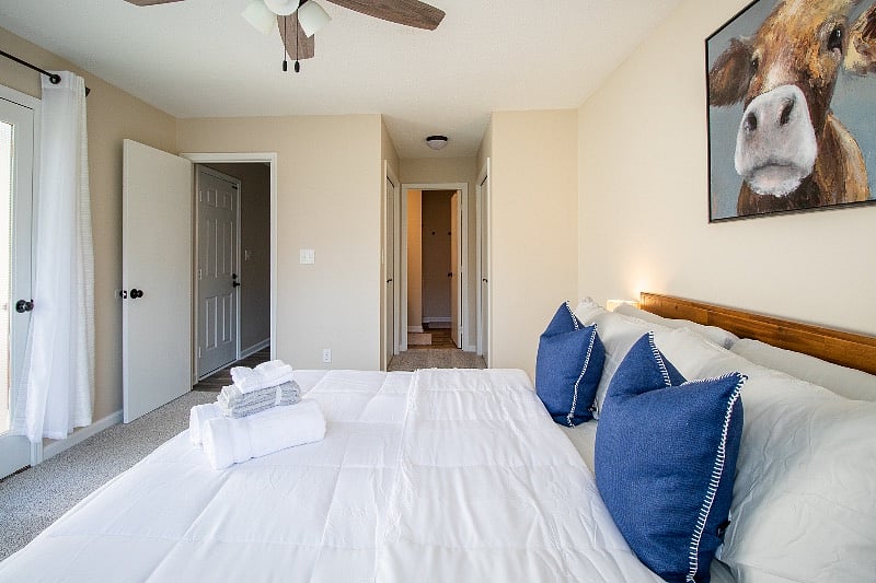 Furnished Finder property 335705_1 photo 5