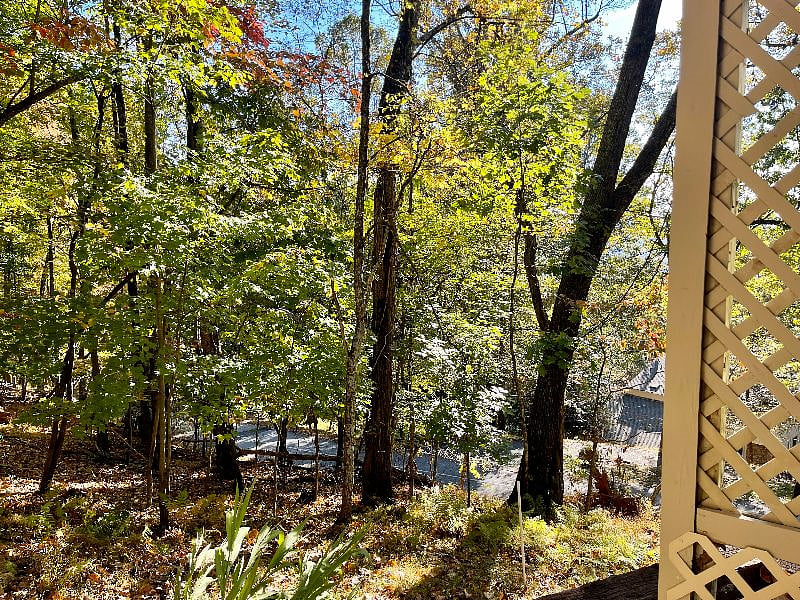 Furnished Finder property 335781_1 photo 4