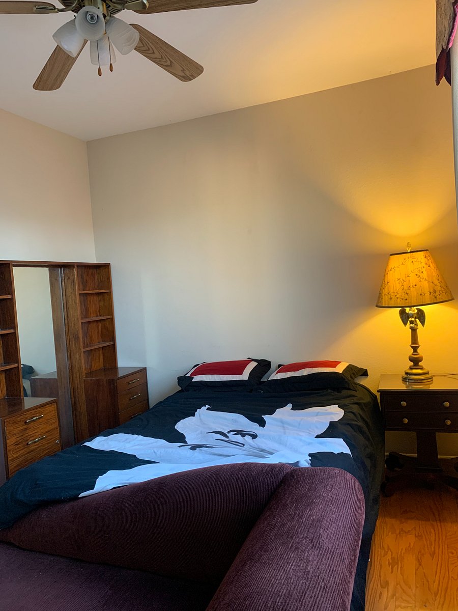 Furnished Finder property 335807_1 photo 9