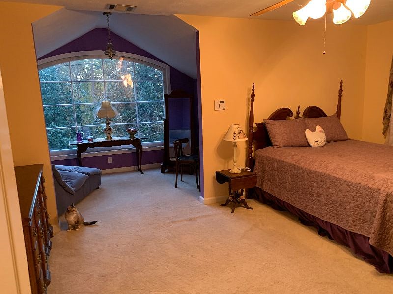 Furnished Finder property 335917_1 photo 4