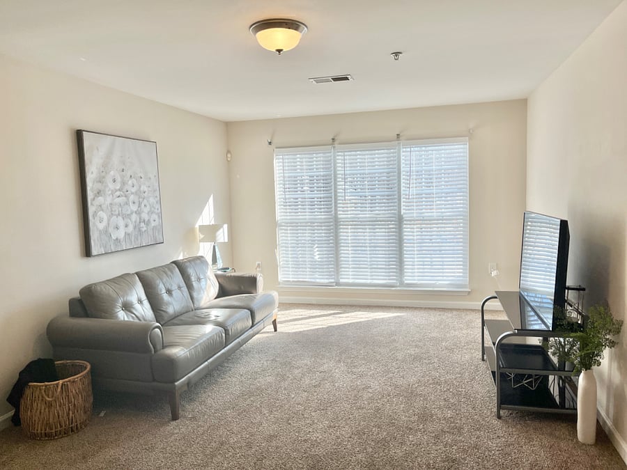 Furnished Finder property 335940_1 photo 6
