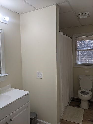 Furnished Finder property 336017_1 photo 8