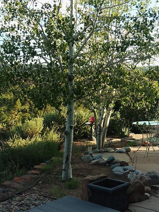 Beautiful Garden Setting with Panoramic Sangre De Cristo Views
