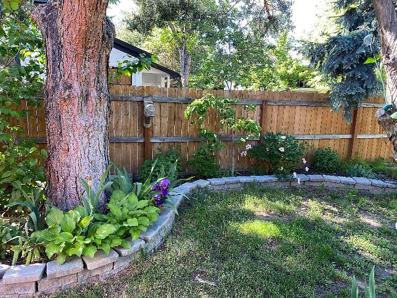 Furnished Finder property 336065_2 photo 11
