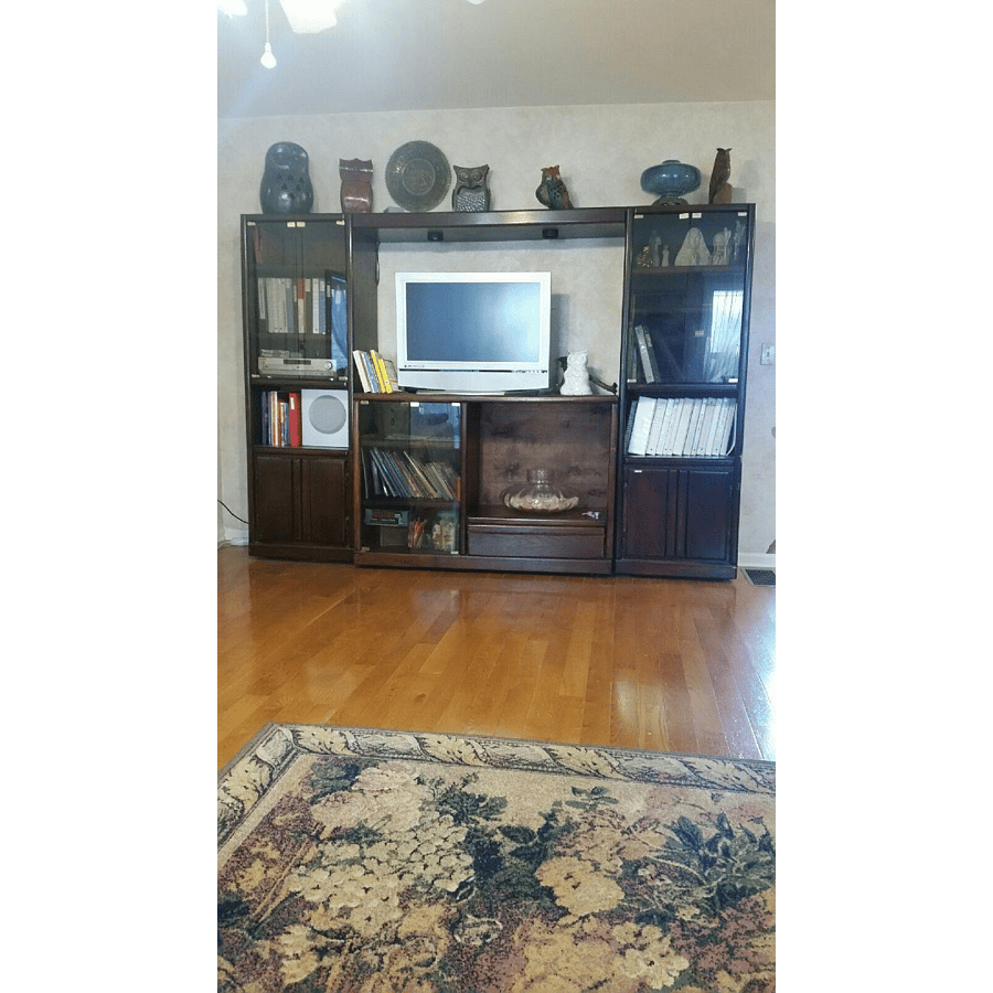 Living room entertainment center