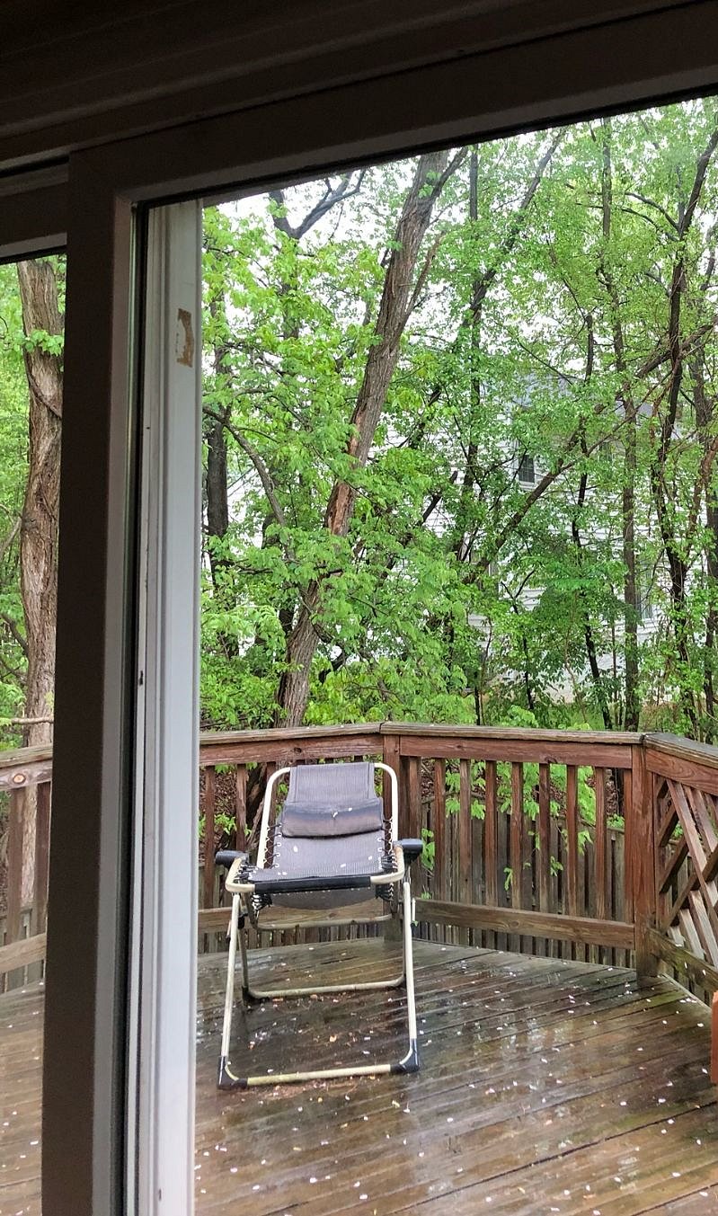 Furnished Finder property 336307_1 photo 15