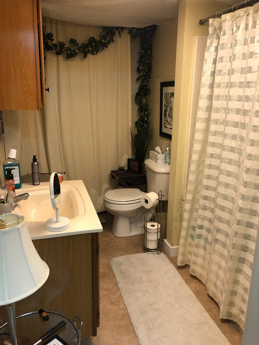 Furnished Finder property 336310_1 photo 12