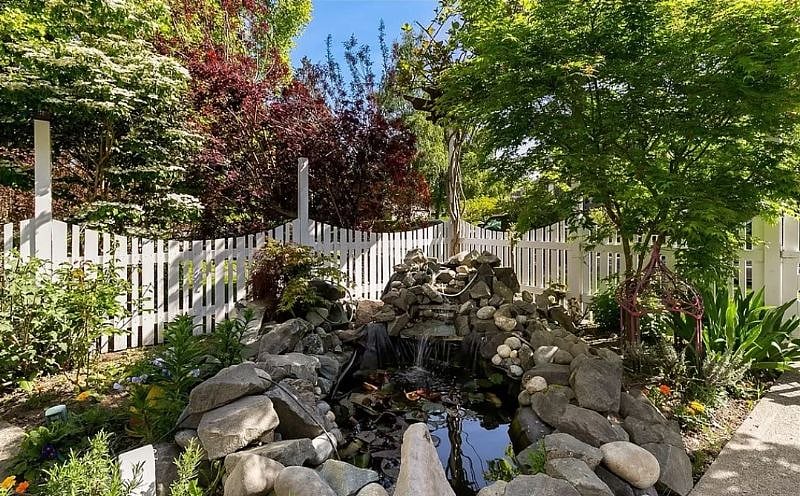 Front Yard Pond