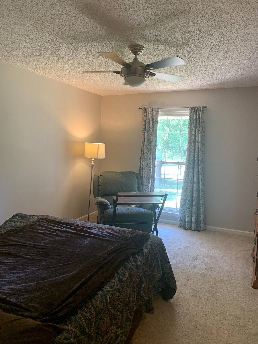 Furnished Finder property 336510_1 photo 4
