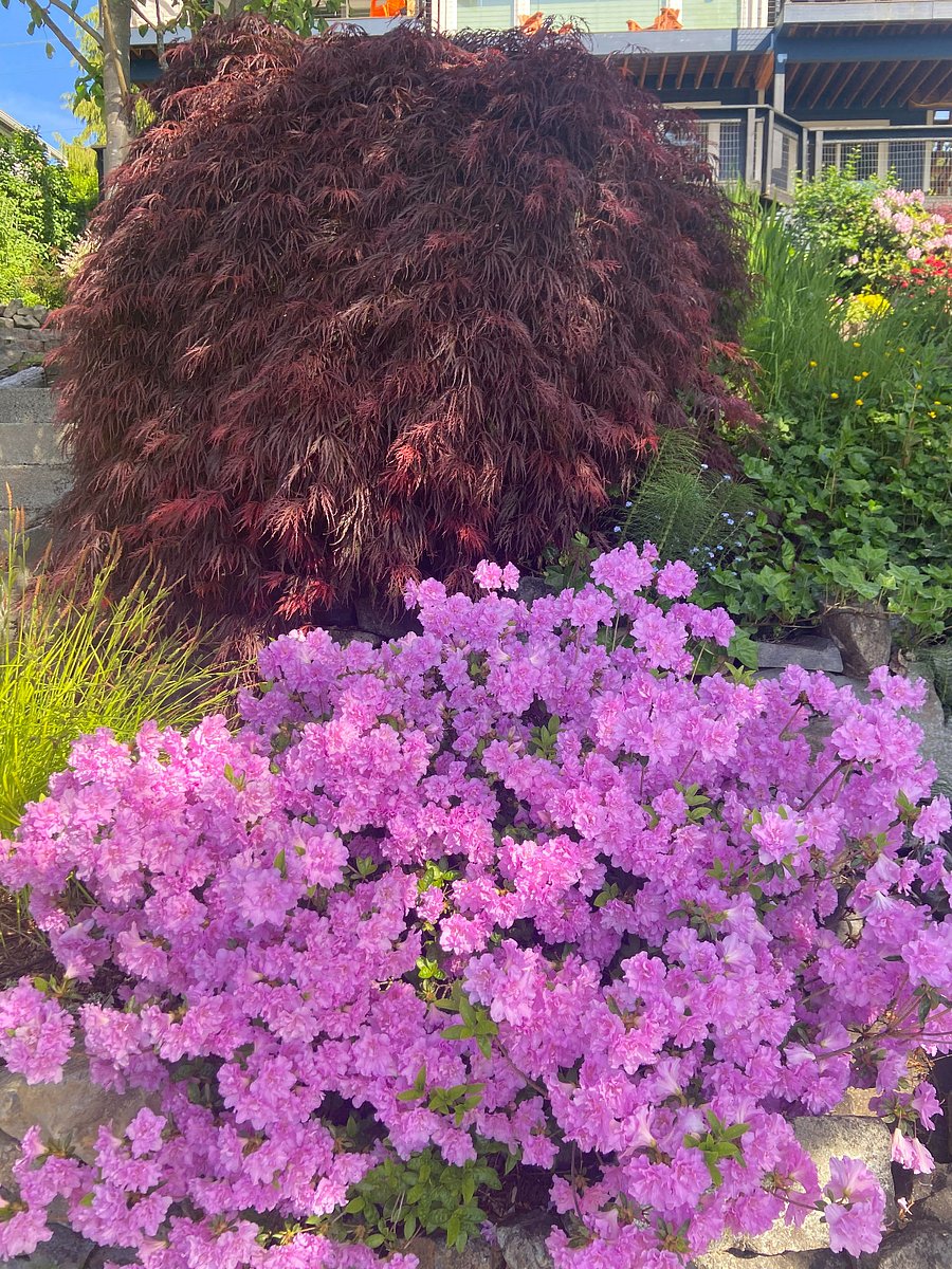 Professionally landscaped