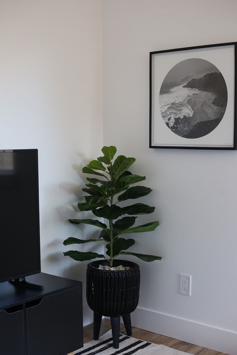 Furnished Finder property 336729_2 photo 11