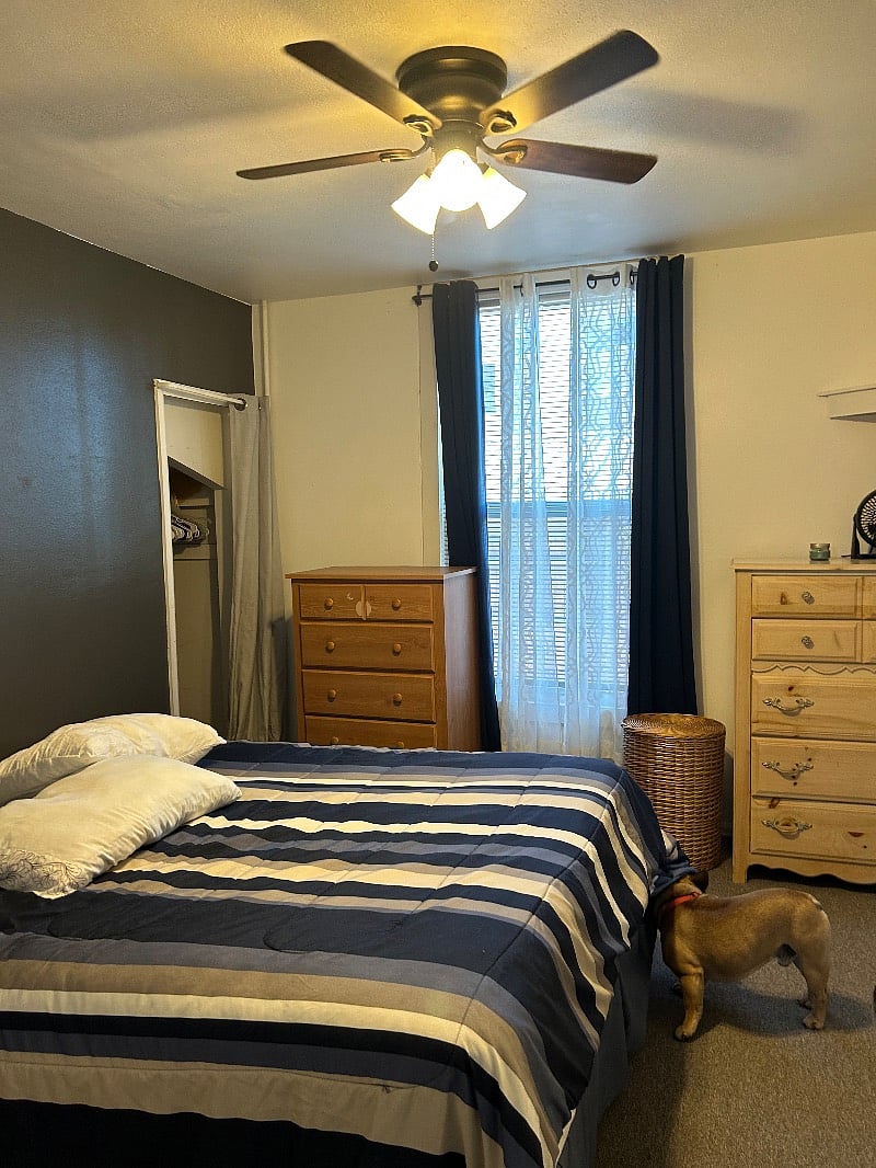 Furnished Finder property 336810_1 photo 11