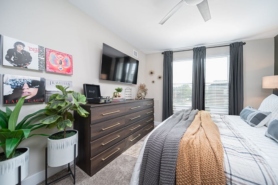 Furnished Finder property 336882_2 photo 23