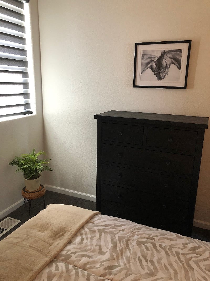 Furnished Finder property 336975_1 photo 20