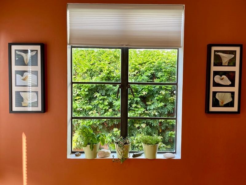 Furnished Finder property 337012_1 photo 6