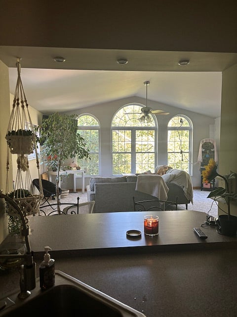 Furnished Finder property 337710_1 photo 46