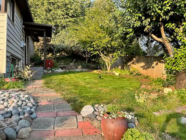 Front yard