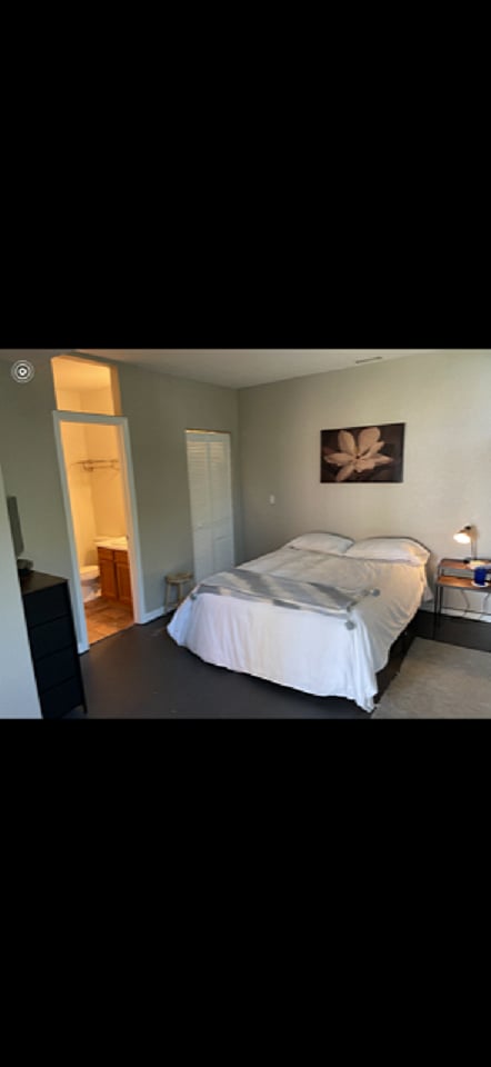 Furnished Finder property 337769_1 photo 14