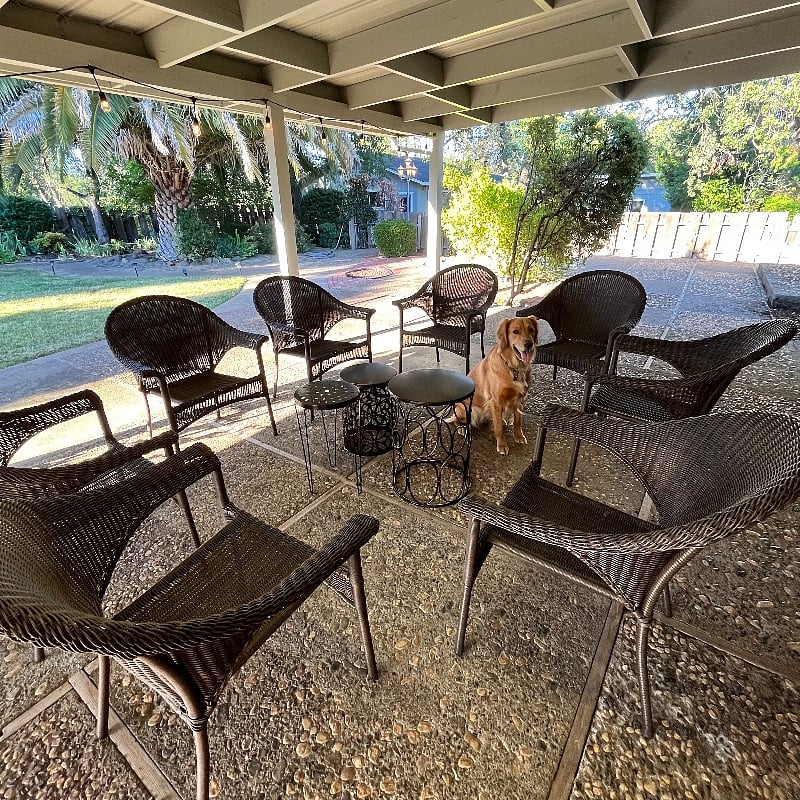 Furnished Finder property 337815_1 photo 16