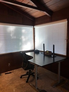 Large desk for remote work
area is lighter than it looks
view out the window of garden