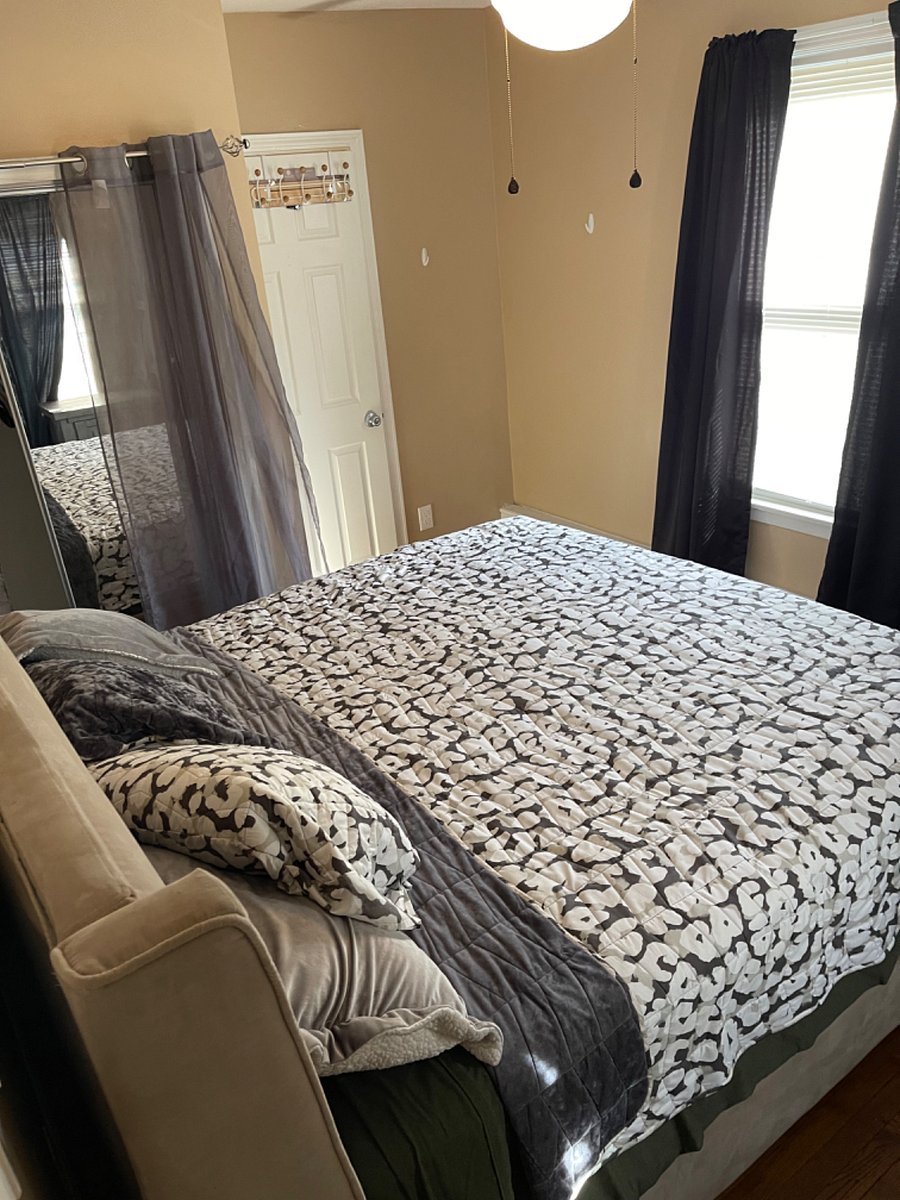 Furnished Finder property 338216_1 photo 4