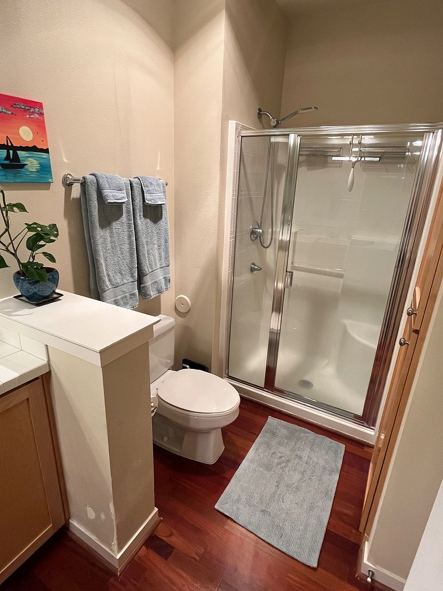 Private bathroom, Walk-in shower 