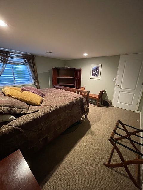 Lower level bedroom