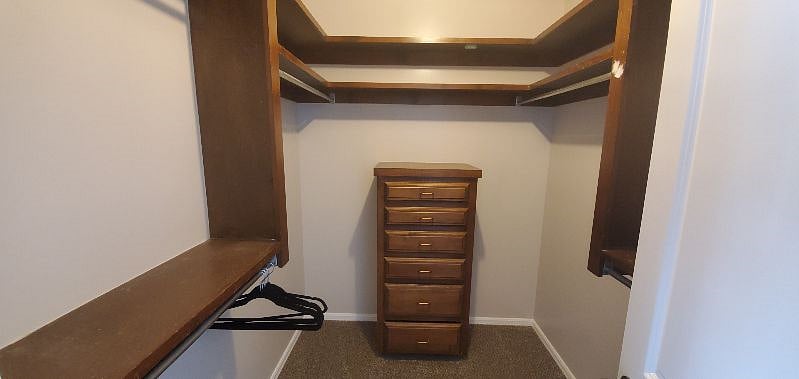 Furnished Finder property 338326_1 photo 18