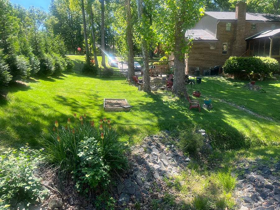 Furnished Finder property 338499_1 photo 11