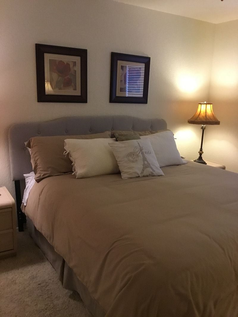 Furnished Finder property 338878_1 photo 19