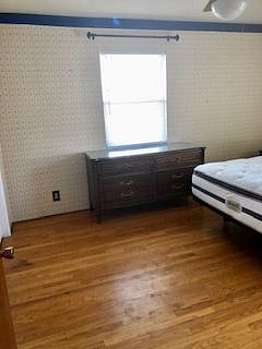 Master Bedroom, Queen Adjustable Base Bed, Dresser, Windows NOW have BlackOut Curtains