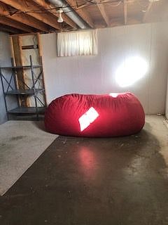 Part of Basement Storage Area