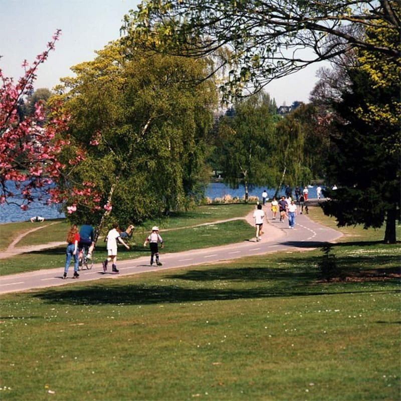 Walk, jog, bike, skate, swim or paddle board at Green Lake...