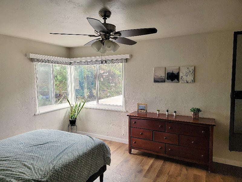 Furnished Finder property 339282_1 photo 11