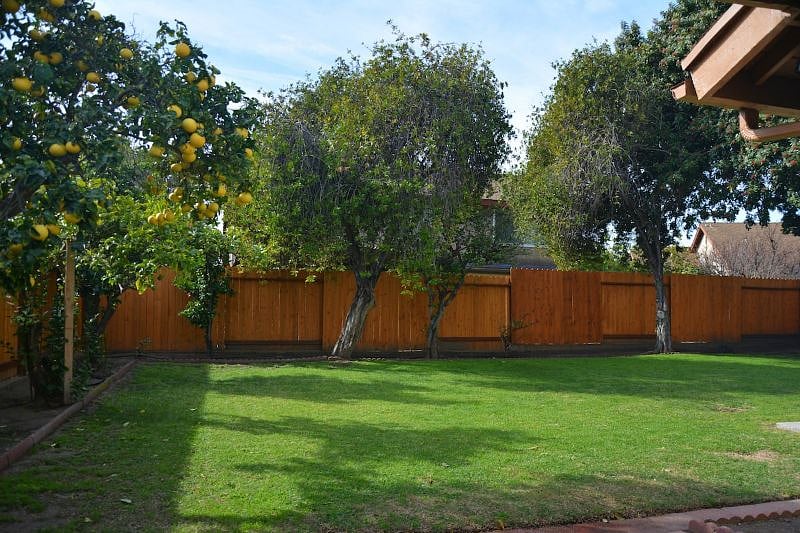 Furnished Finder property 339568_1 photo 25