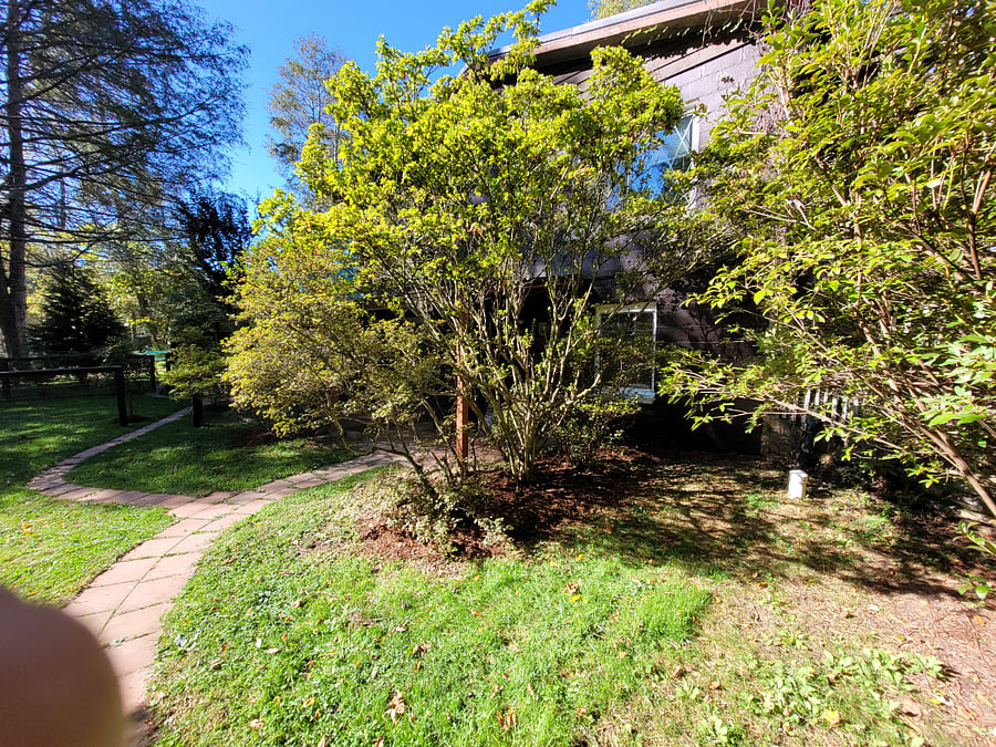 Furnished Finder property 339658_1 photo 14