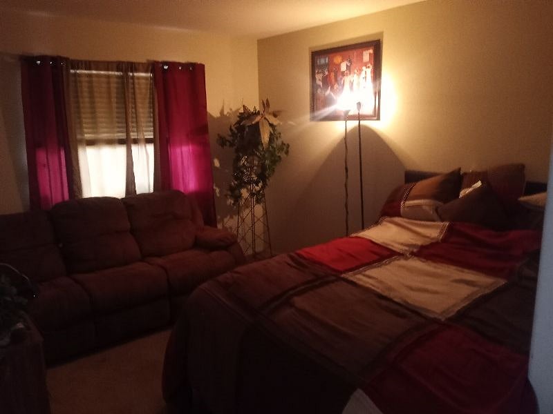 Furnished Finder property 339725_1 photo 3