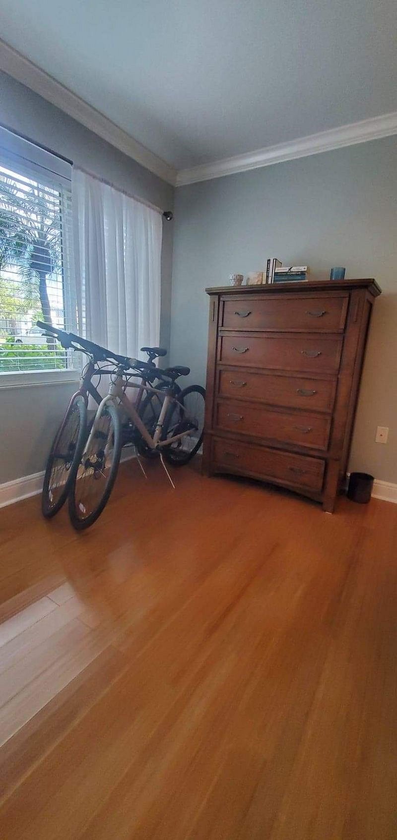 Furnished Finder property 339759_1 photo 17